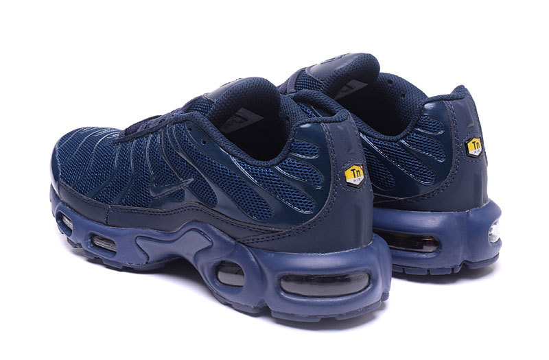 Nike Tn Air Max Tn Homme Bleu